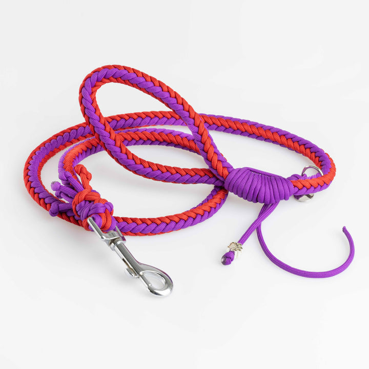 Guinzaglio paracord 8 fili (taglia media)