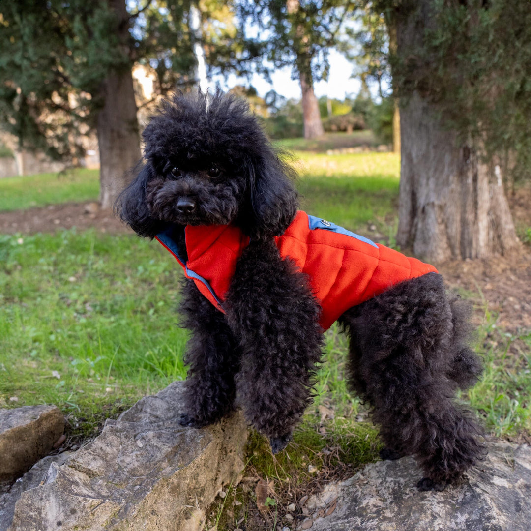 PIUMINO IMPERMEABILE PER CANE SU MISURA IN CASHMERE