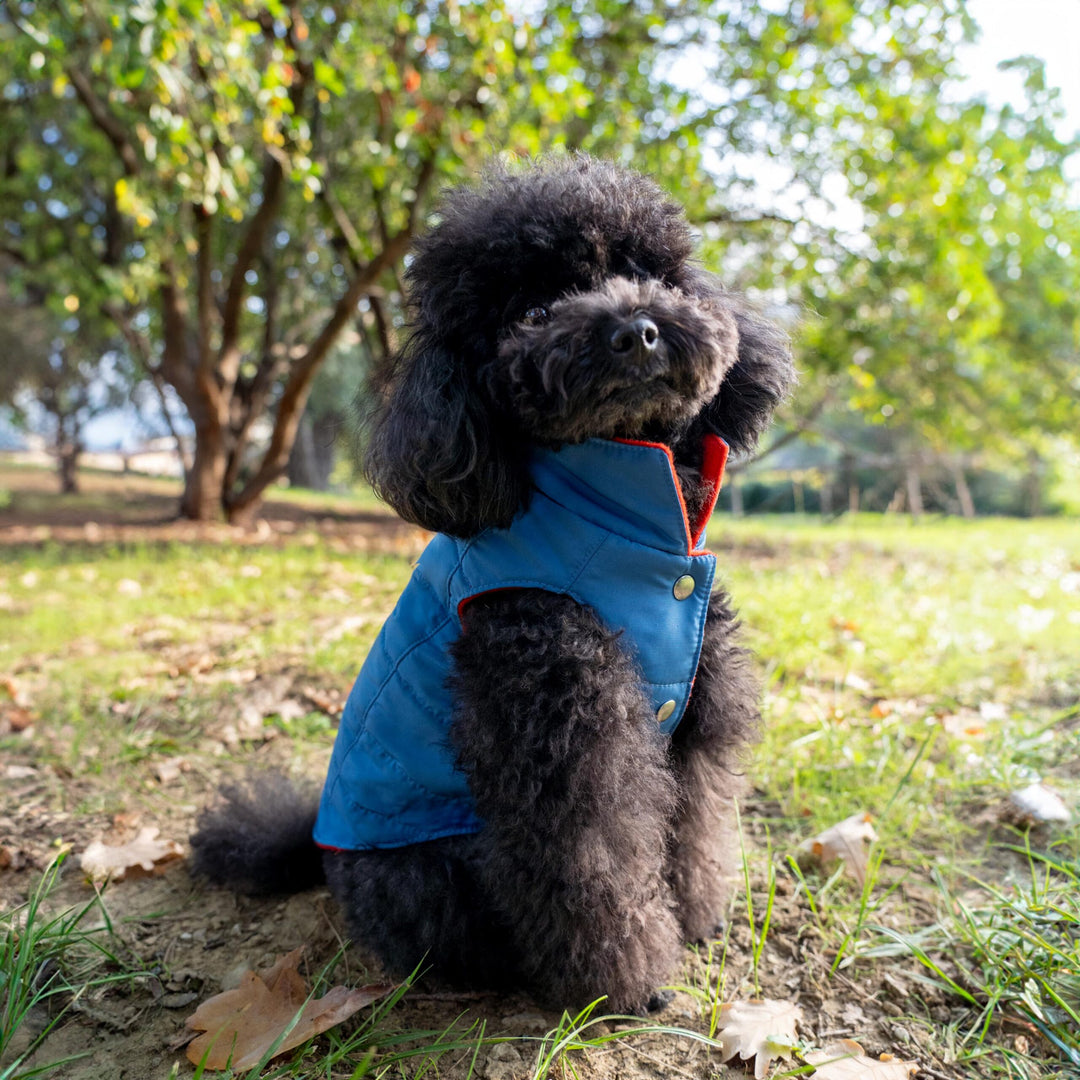 PIUMINO IMPERMEABILE PER CANE SU MISURA IN CASHMERE