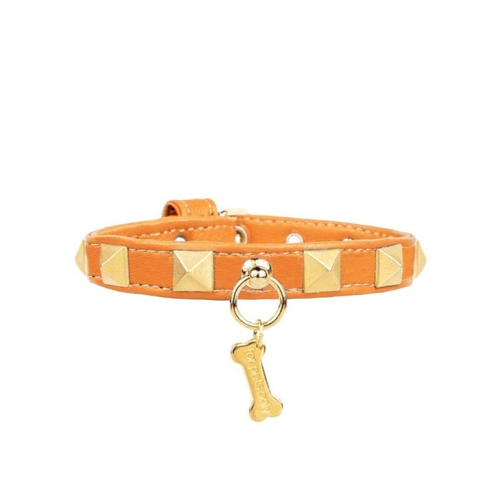 Collare Chic and Stud Orange