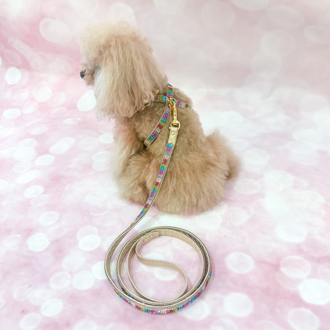 Pettorina Rainbow Mini Jewel Gold